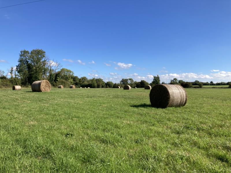 Tipperary auctioneers to auction 'very attractive' holding very soon...