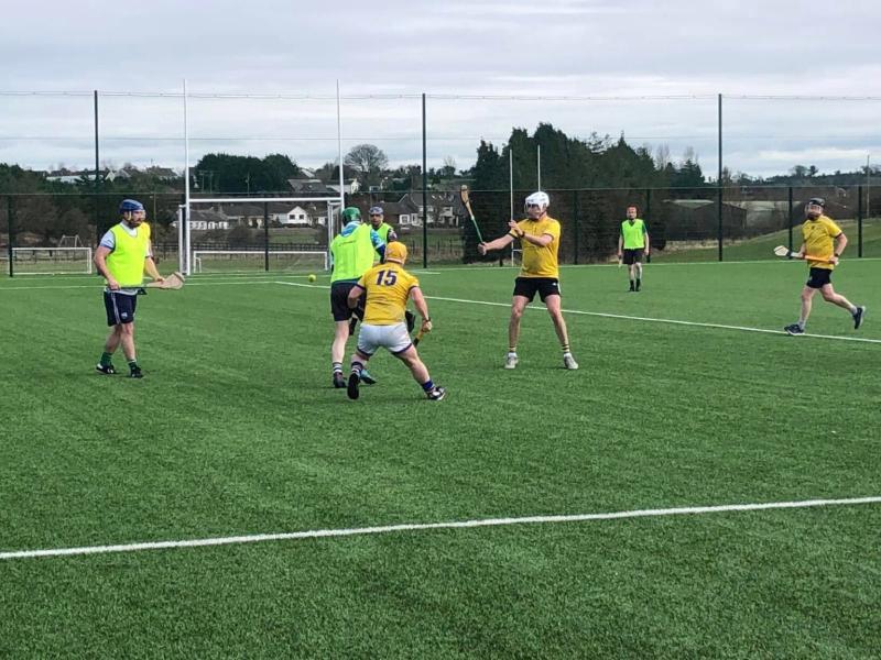 Tipperary social hurling