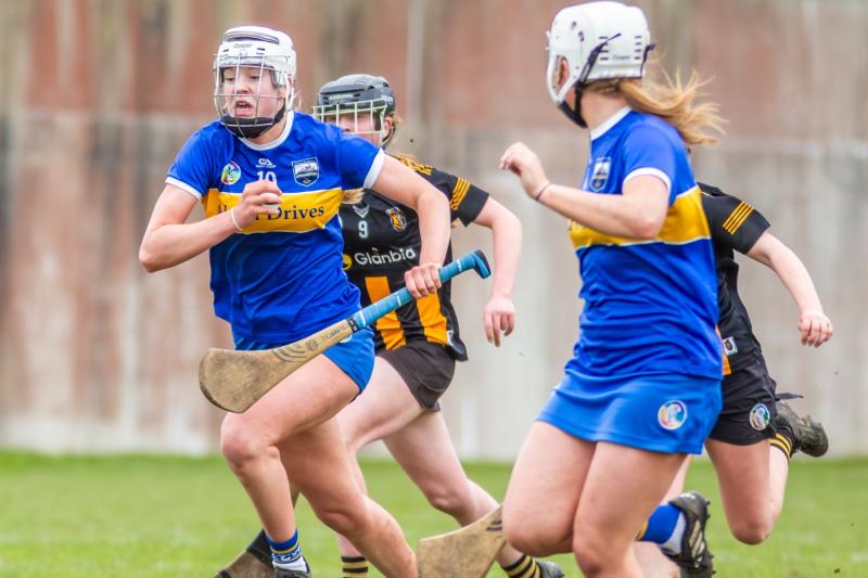 Tipperary's minor camogie team drew with Kilkenny on Sunday.