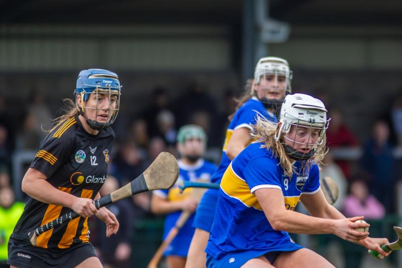 Tipperary's Niamh Treacy in action against Kilkenny last Saturday.