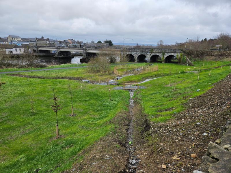 Project reducing pollution entering River Suir in Tipperary shortlisted for national award