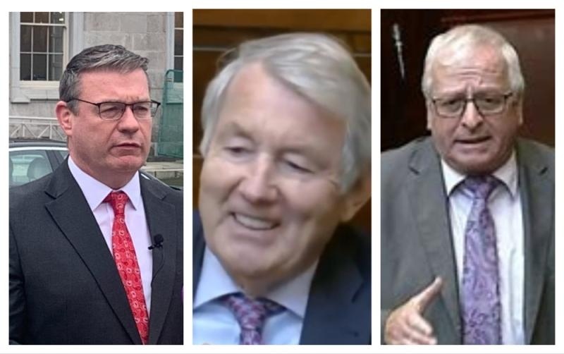 Tipperary TDs get over €4,000 each in expenses for month in which Dáil sat for one day