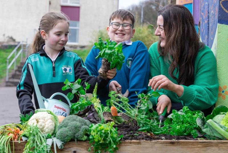 Tipperary primary schools to take part in 'Let's Grow' programme