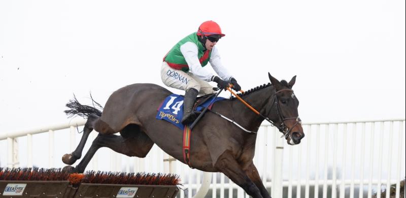 Tipperary syndicate looking forward to 'a bit of fun' with Cheltenham runner