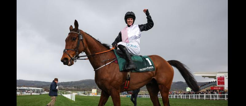 LIVE: Double for Tipperary's Rachael Blackmore and Robcour at Cheltenham