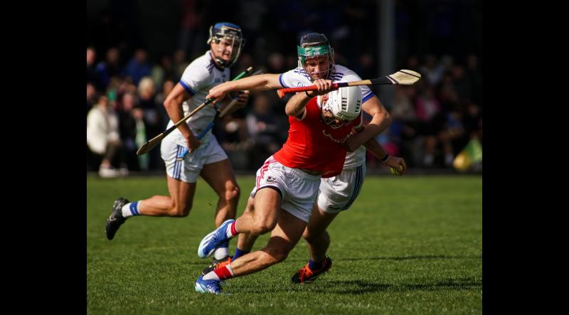 ROUND UP: Club hurling action returns in Tipperary with some dingers getting 2025 up and running