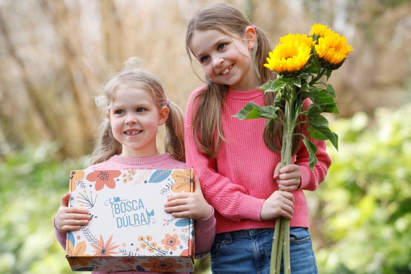 Tipperary pollinator project