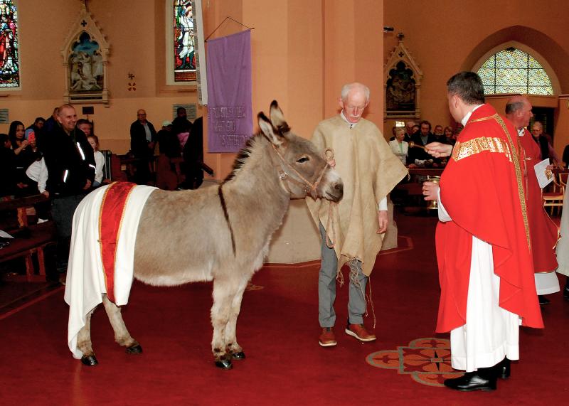Roscrea Church donkey