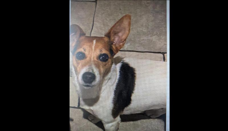 Tipperary Tipperary Tipperary 