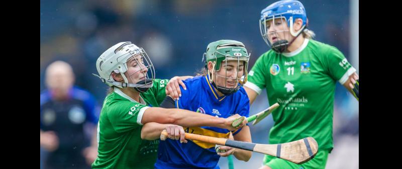 Tipperary preparing for Munster camogie championship semi-final against Waterford
