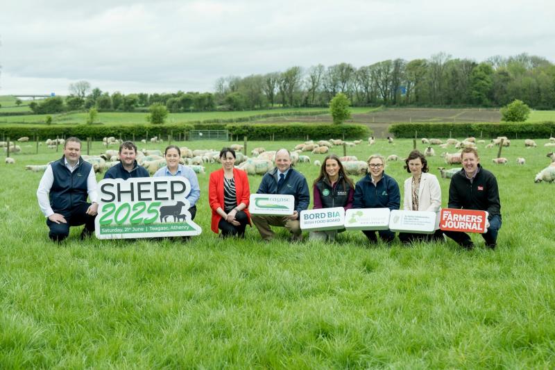 Tipperary farmers encouraged to attend 'Sheep 2025' open day this summer