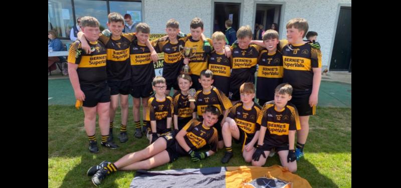 Brilliant finals see titles claimed by Clonakenny, Loughmore Castleiney, Boherlahan and Moycarkey