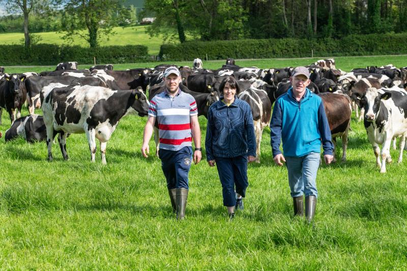 Take an evening walk through an award winning Tipperary  sustainable dairy farm