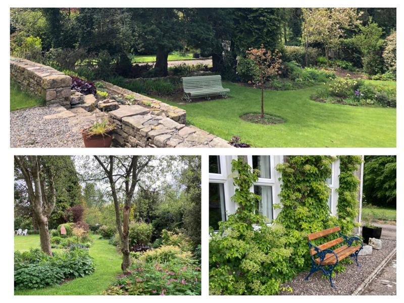 BIG READ: Meet Máire Wixted, the Tipp gardener raising thousands for cancer research