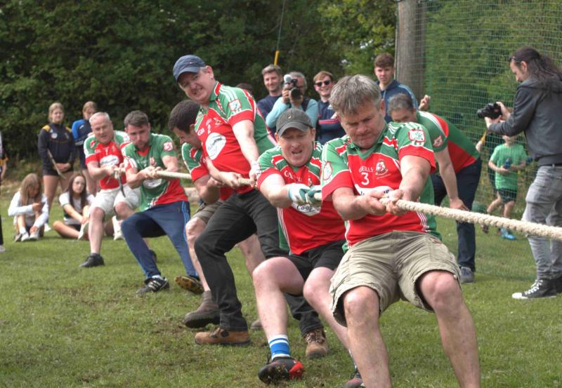 Tipperary community's hugely successful Little Village Festival to return next year