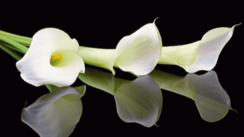 RIP: Tipperary deaths and funeral details, May 30