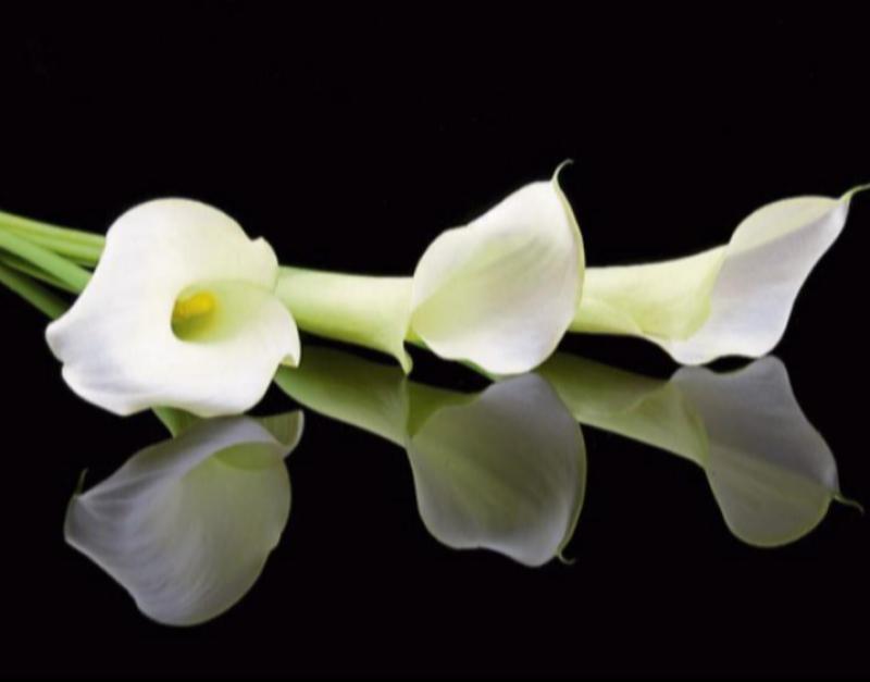 RIP: Tipperary community mourns the passing of a much-loved former ICA member