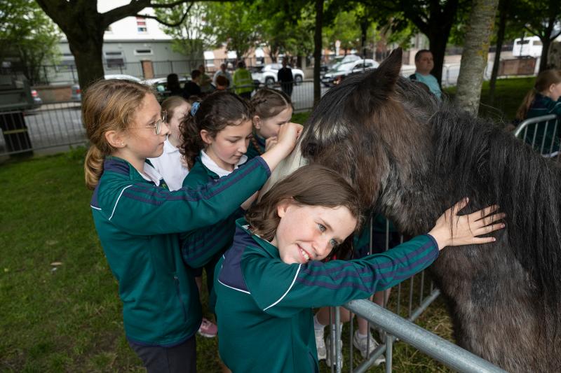 Something for everyone  at major Tipperary agricultural show to be held on July 6