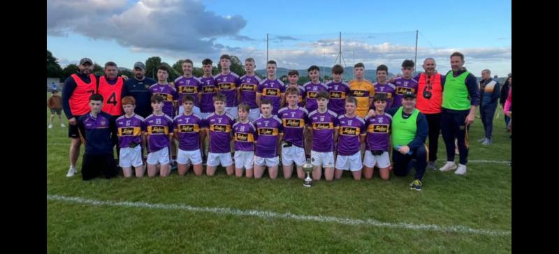 Newport deliver class performance to down battling Boherlahan Dualla in county final
