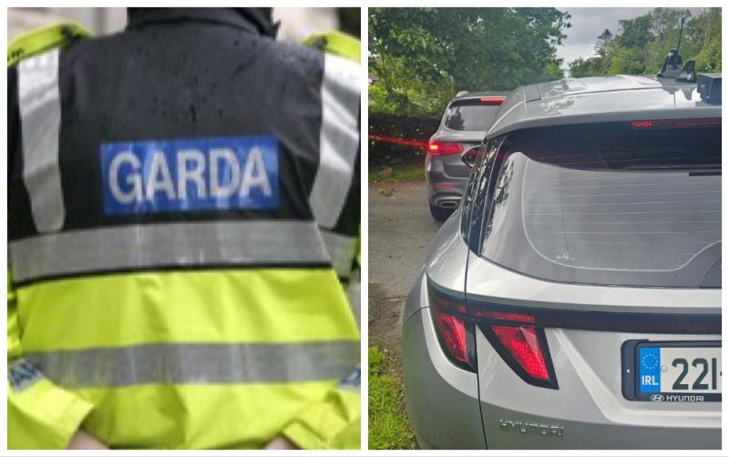 Garda&iacute; clock driver doing nearly double the limit outside Irish school at busy home time