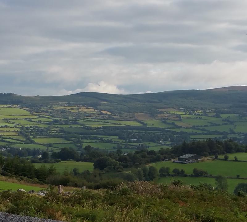 ALERT: Road closed overnight in Tipperary due to fallen tree and downed electricity cables