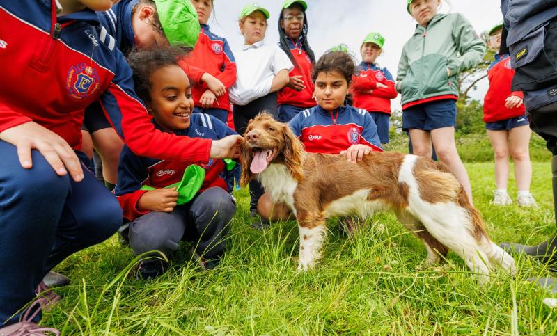 PICTURE: Tipperary students pay visit to local farm to learn about farming