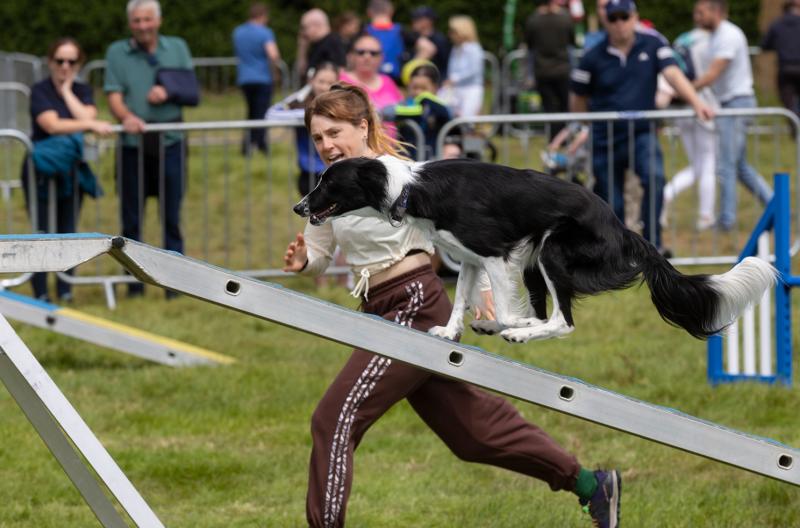 Tanáiste Simon Harris will be among the thousands of visitors to Clonmel Show this Sunday
