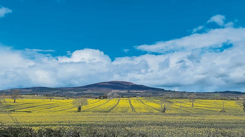 Get in the mood for All-Ireland hurling final by climbing famous Tipperary mountain