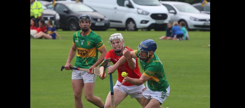 Tipperary continues to bask in warm and fuzzy feeling of All-Ireland success