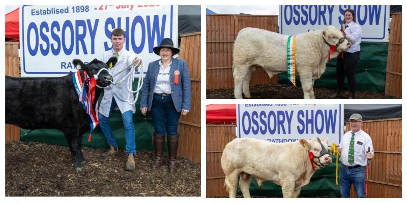 PICTURES: Great success for Tipperary contestants at Ossory Show