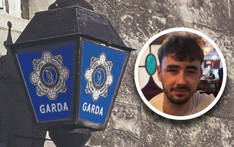 Gardaí urge public to check sheds and lands in search for young man missing since Saturday