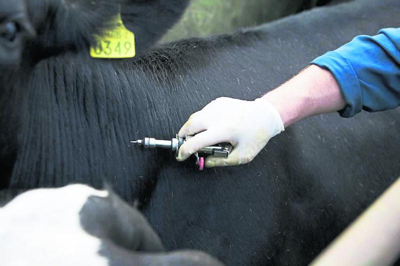 New TB Plan for farmers is a 'step in the right direction' says Tipperary councillor