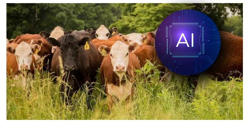 WOW: Tipperary firm ploughing ahead after launch of new farming AI assistant