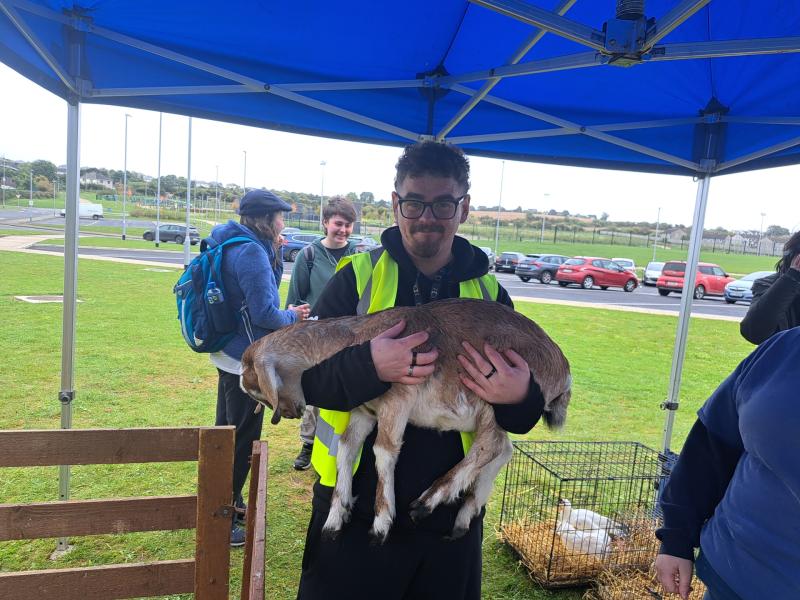 Students organise three-day Tír na nÓg youth festival which will take place in Tipperary