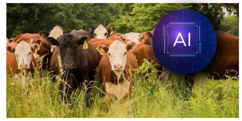 Tipperary agritech company named as finalist in Enterprise Ireland’s Innovation competition 