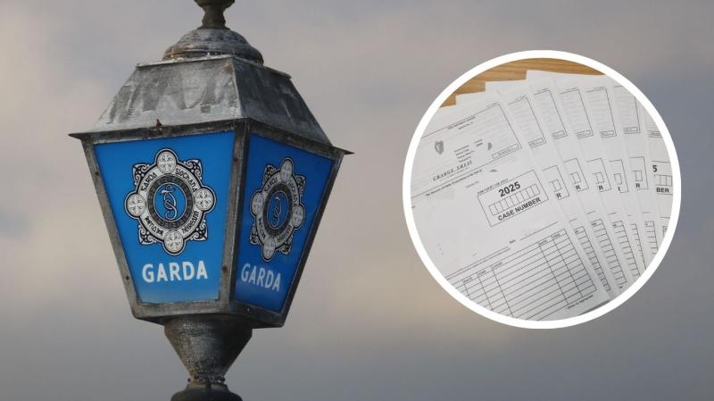  &lsquo;Absolute clown&rsquo;: Driver arrested in busy Irish town as garda&iacute; detect six serious crimes 