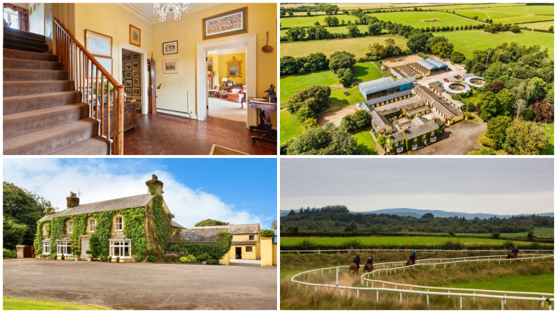 Well-known horse trainer’s home and race track goes up for millions in Tipperary 