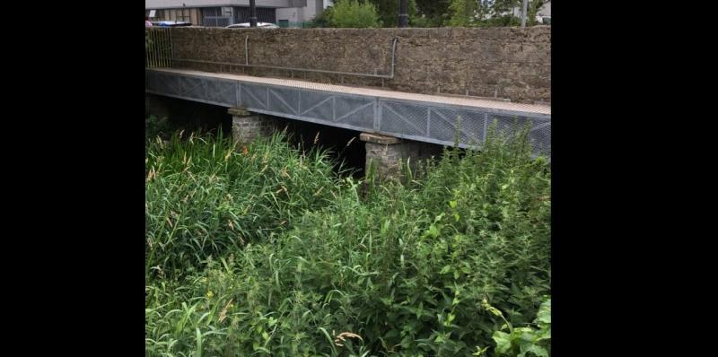 Concerns raised again about 'deplorable' state of previously polluted river in Tipperary 