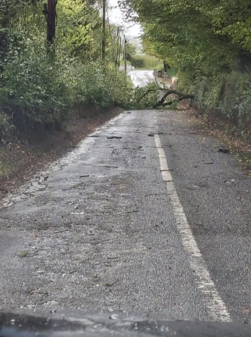 Tipperary recovers swiftly as Storm Amy leaves power cuts and road closures in its wake