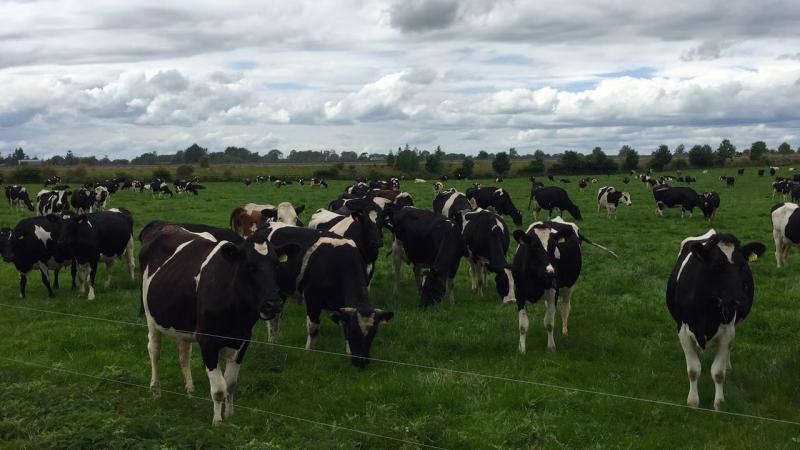 Tipperary Tipperary Tipperary