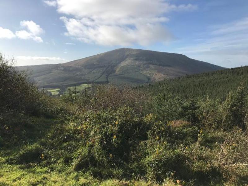 Tipperary Tipperary Tipperary 