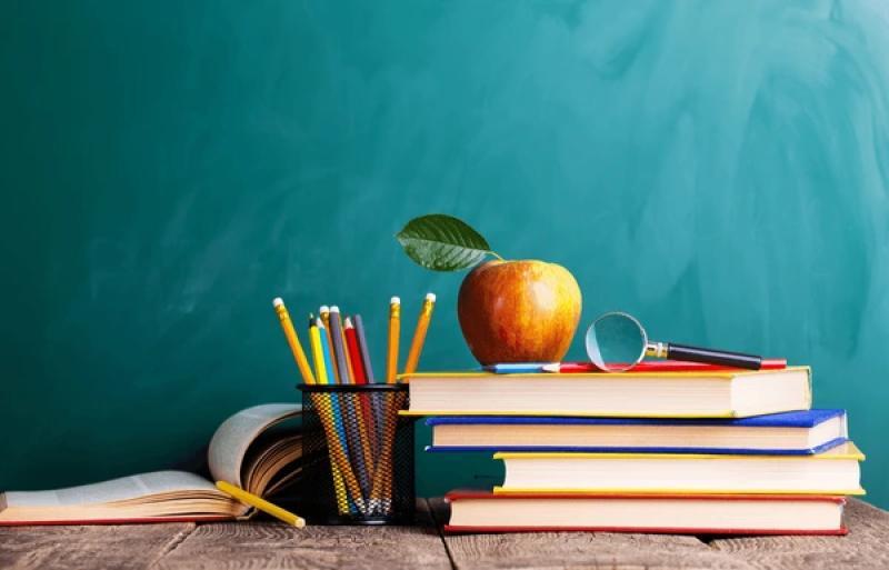OPINION: What more can be done to save the Irish language?