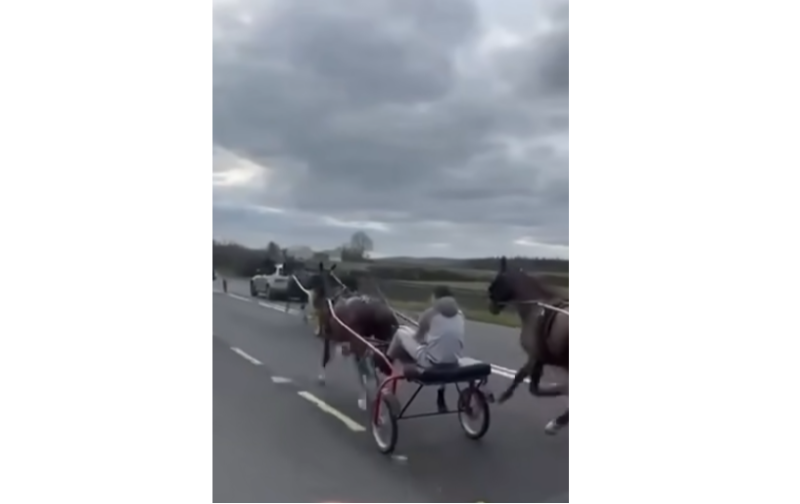 'The intimidation that was done to that man' - Tipperary sulky racing row rumbles on