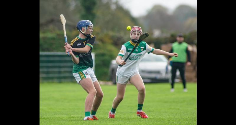 Hogan's fortuitous second-half goal fires Burgess to county U15B final victory