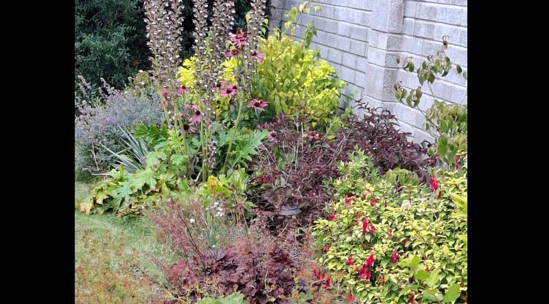 Garden club meeting will be held in Tipperary early next month