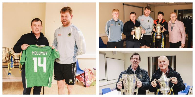 Liam MacCarthy cup pays visit to local Tipperary Residents Association
