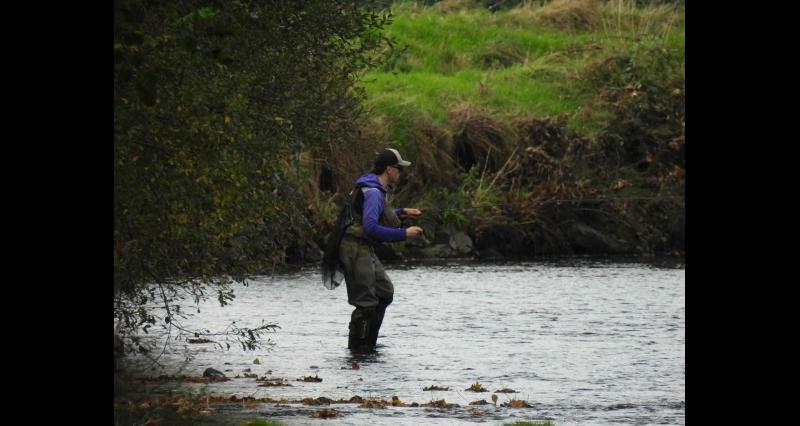 Tipperary Tipperary Tipperary