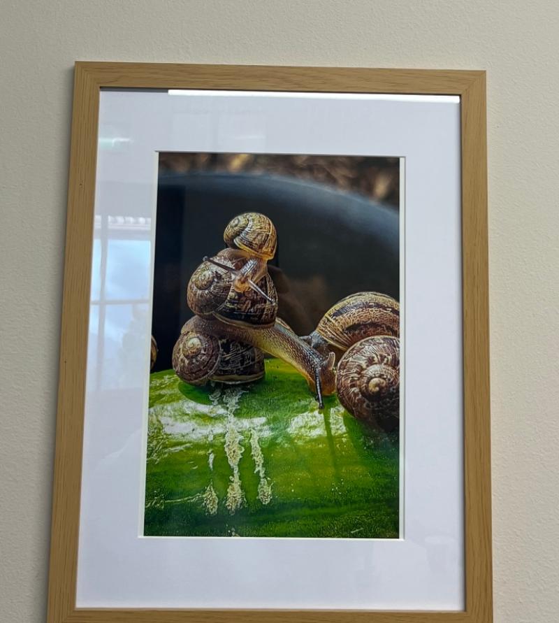 Exciting exhibition shows off talents in community centre in Tipperary Town