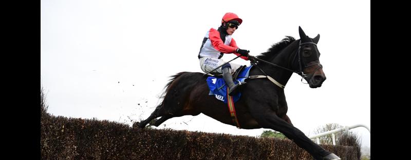 Clonmel Oil Chase Day includes the feature race of the year at this Tipperary racecourse 