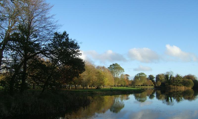 Public meeting planned about water quality in Thurles Municipal District is planned.  